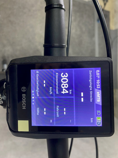 Riese & Müller Delite Mountain touring