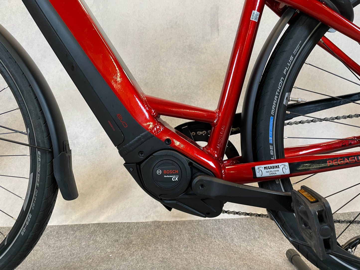 Pegasus Premio Evo 10 Lite