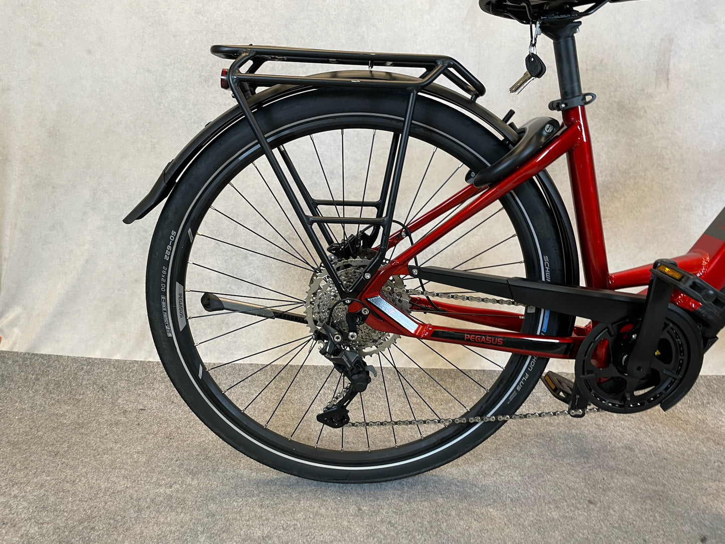 Pegasus Premio Evo 10 Lite