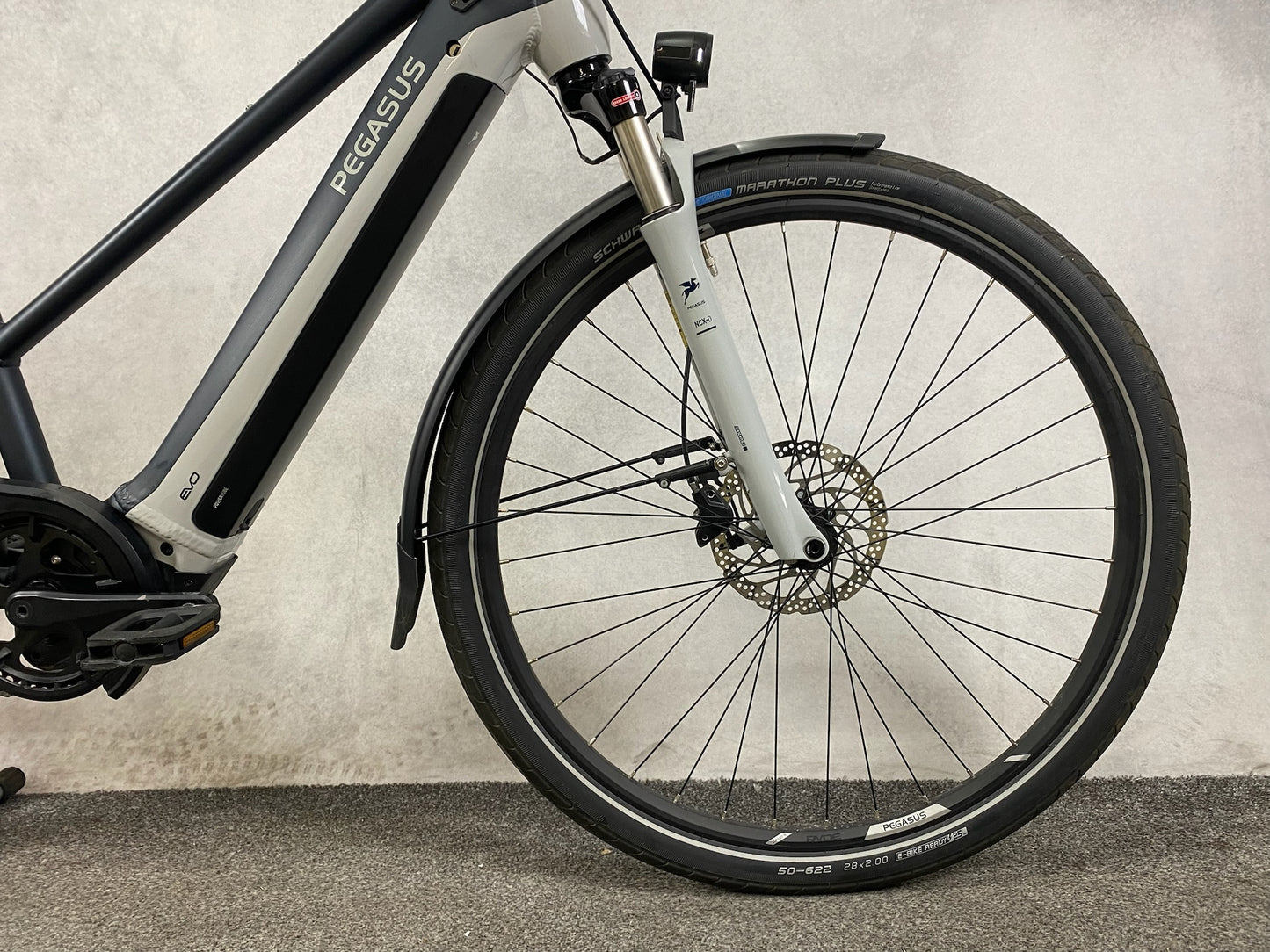 Pegasus Evo 10 Lite 750