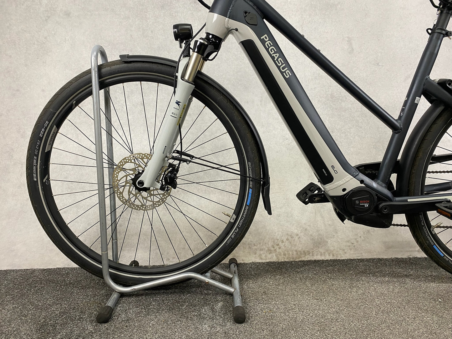 Pegasus Evo 10 Lite 750