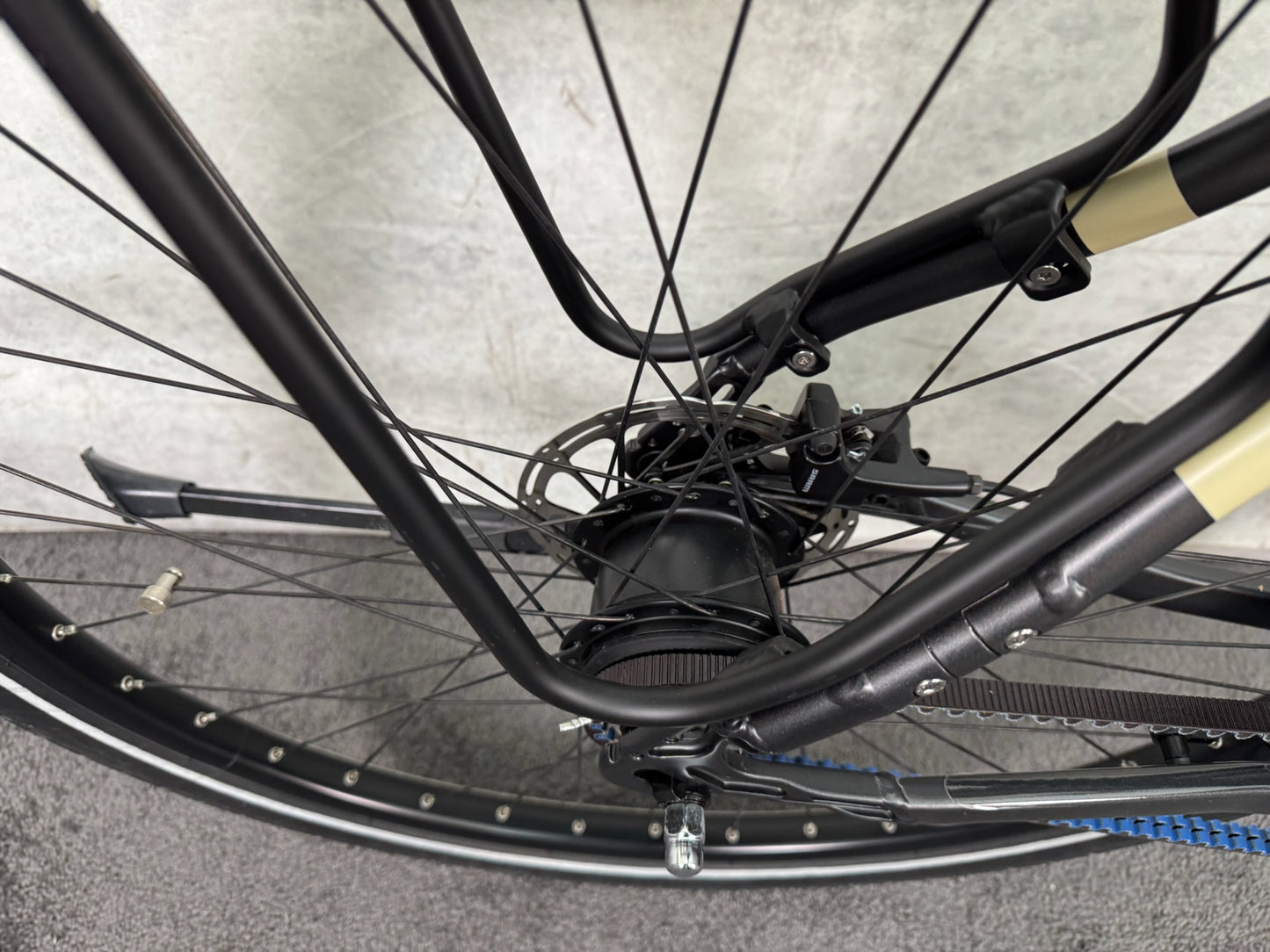 Atlanta Rückenwind 5.0 Belt