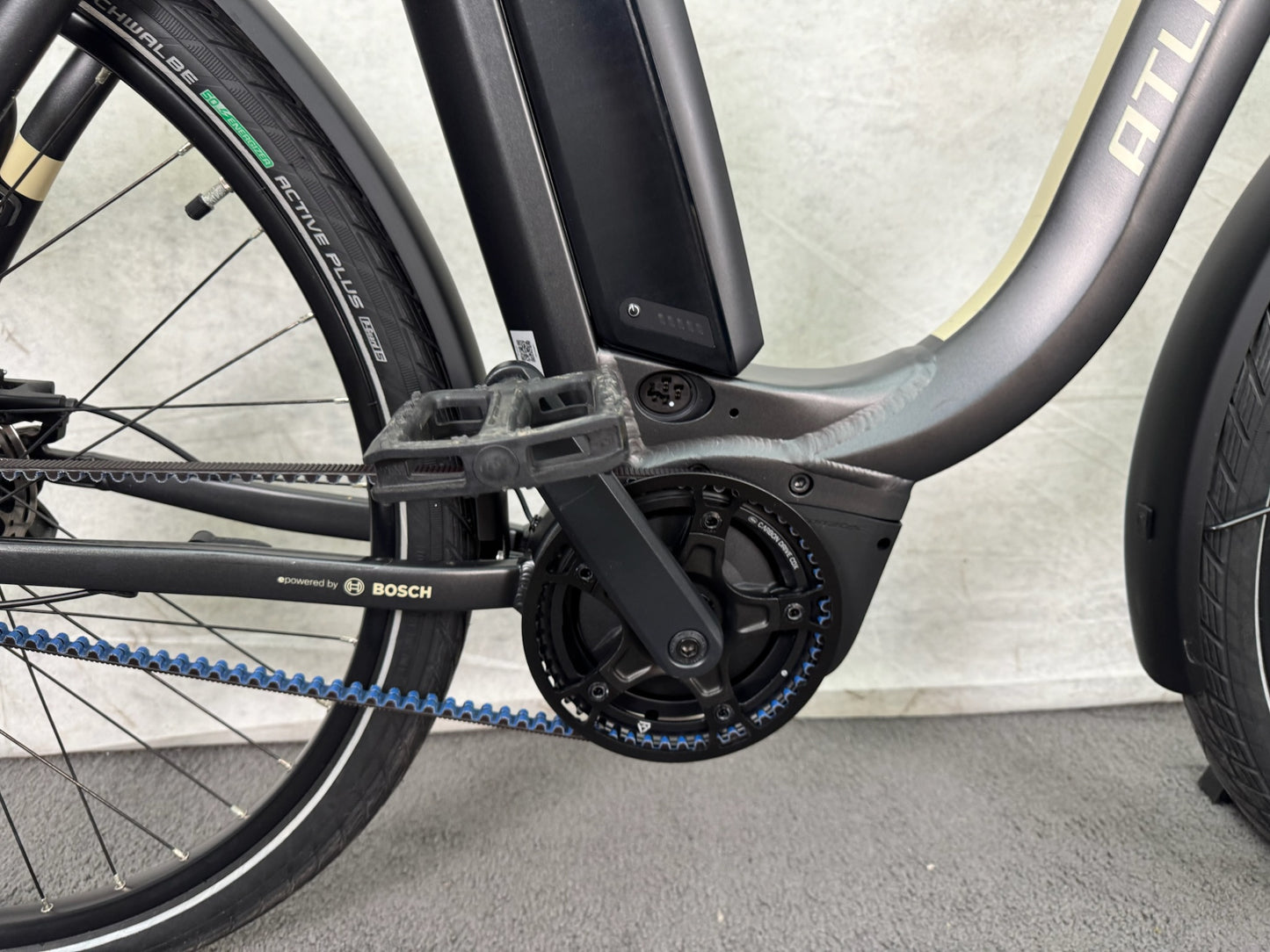 Atlanta Rückenwind 5.0 Belt