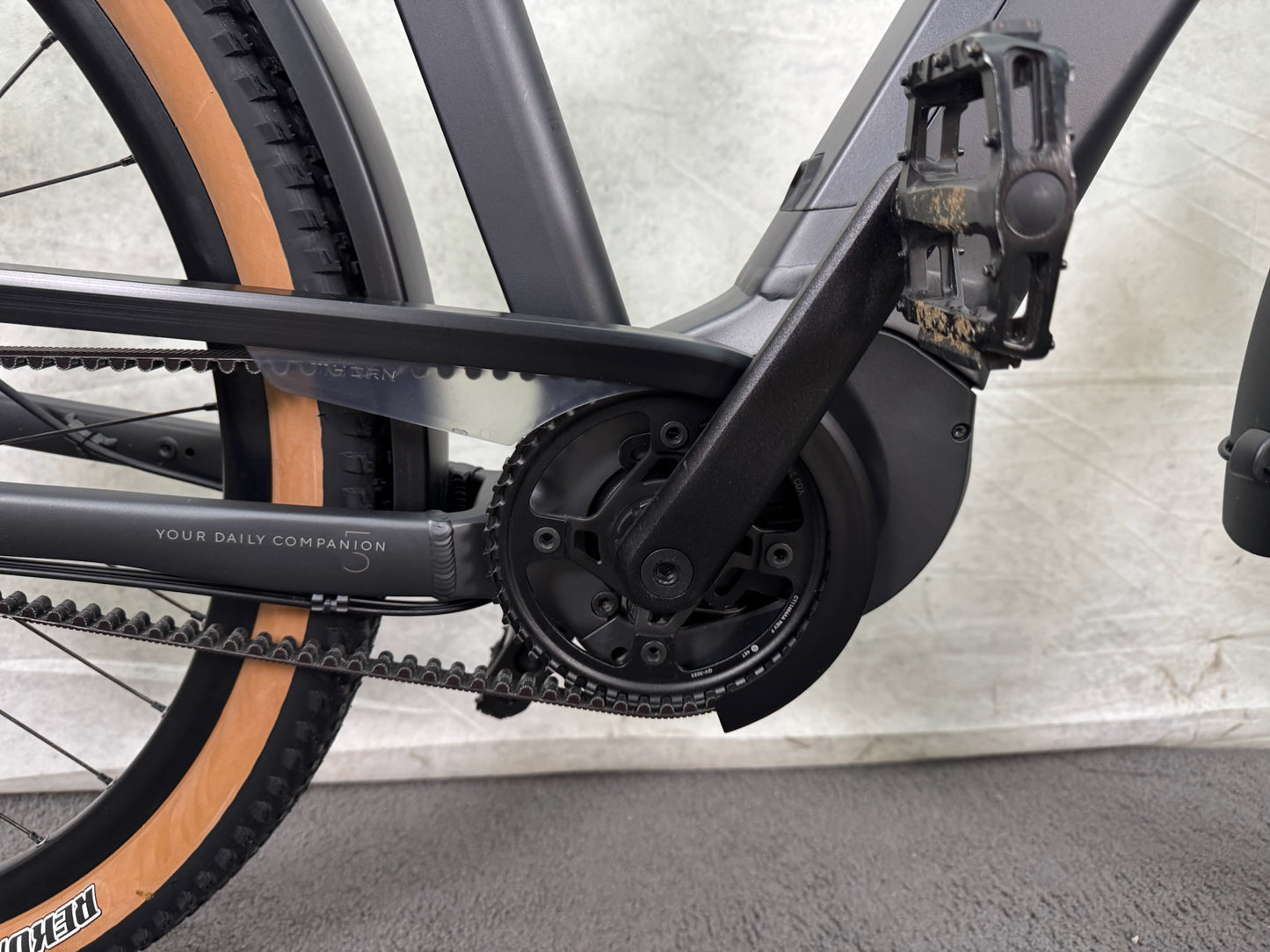 Kalkhoff Entice 5 ELTD+ 2025