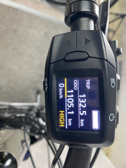 Kellys Bike E-Carson