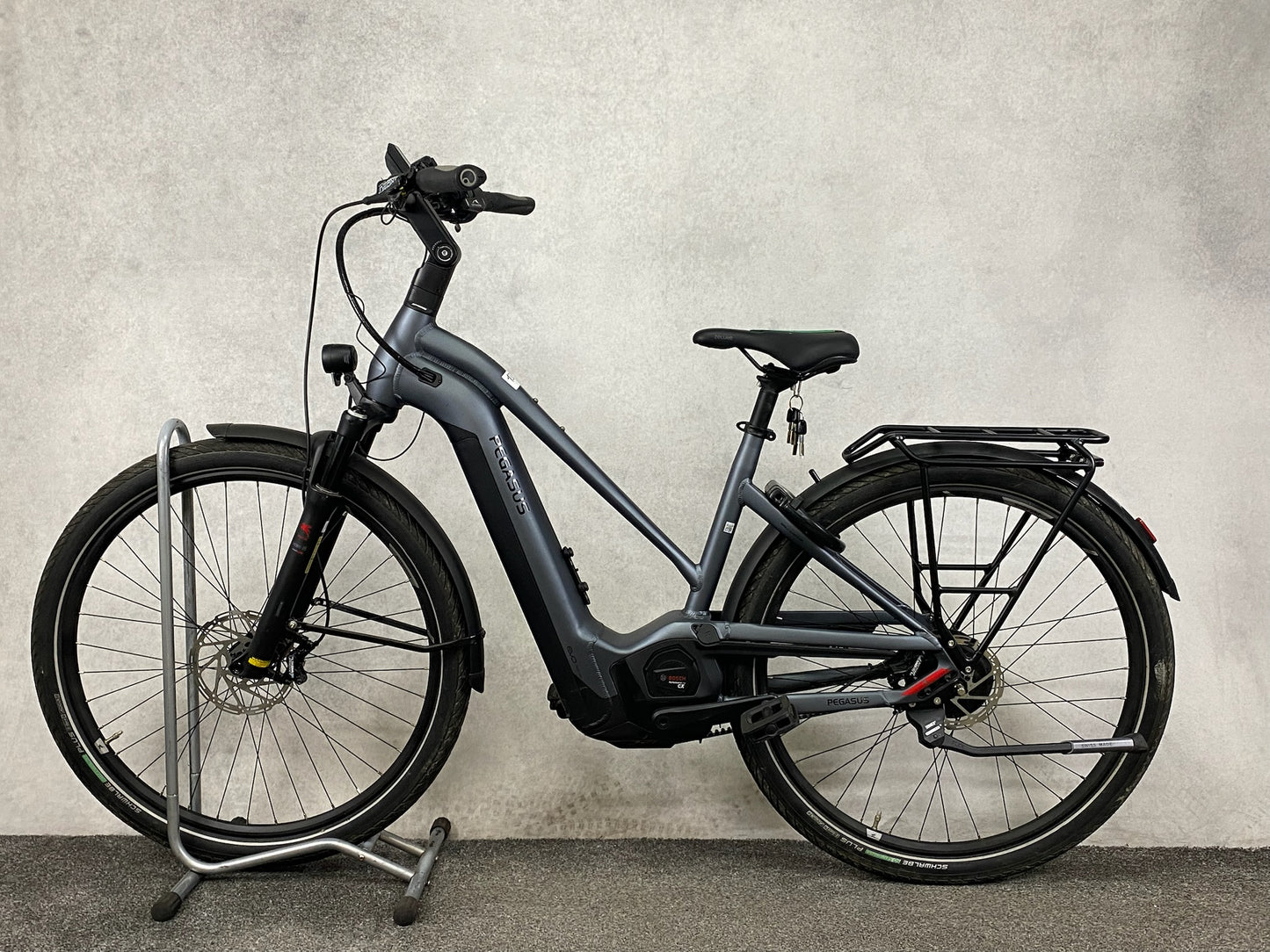 Pegasus Premio Evo NV Lit Belt (M)