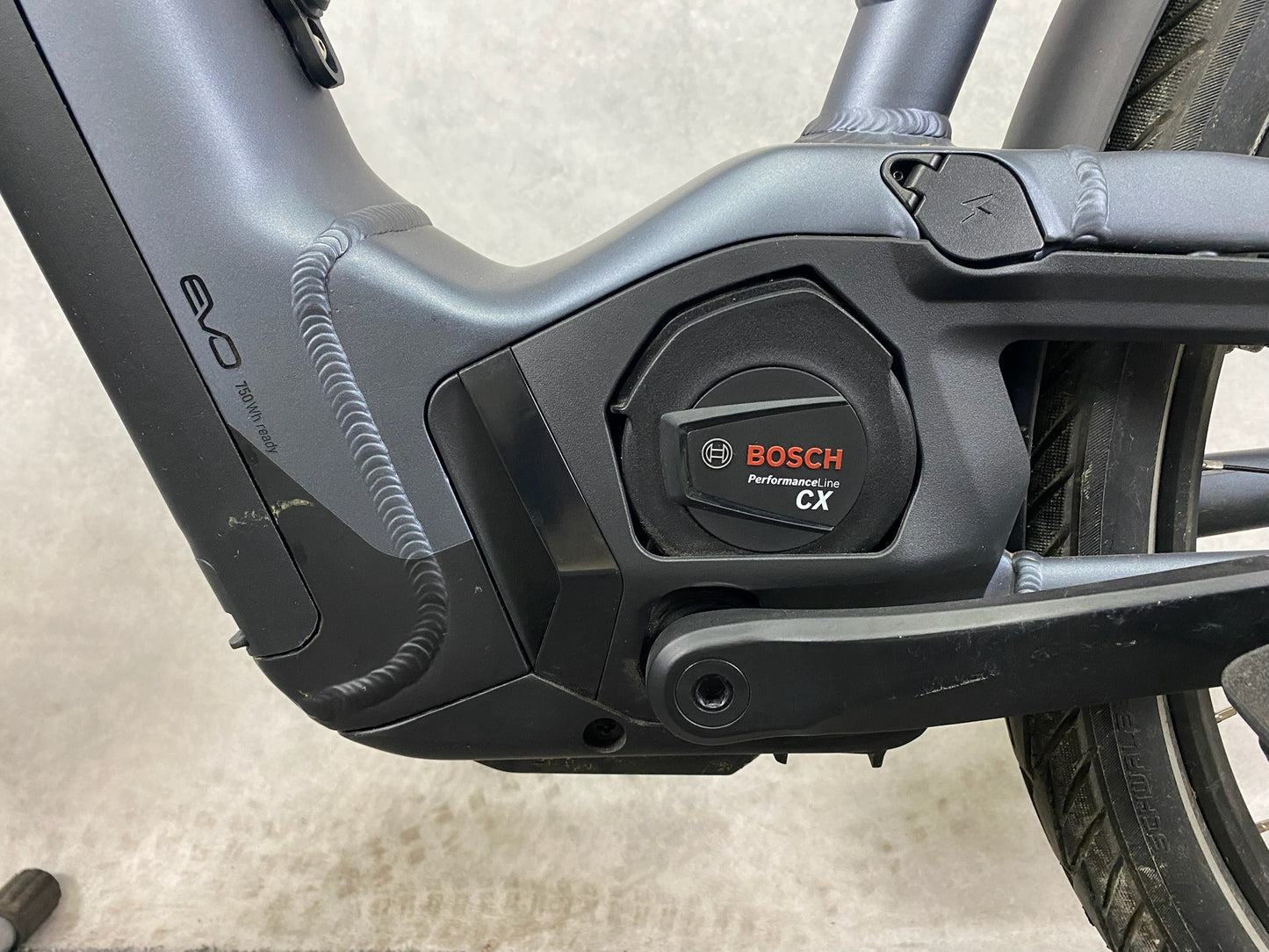 Pegasus Premio Evo NV Lit Belt (M)