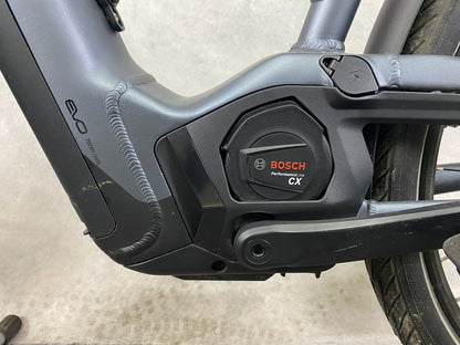 Pegasus Premio Evo NV Lit Belt (M)