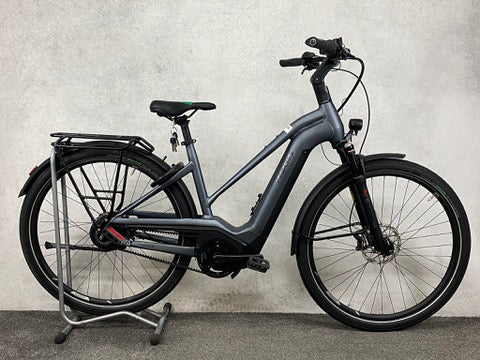 Pegasus Premio Evo NV Lit Belt (M)