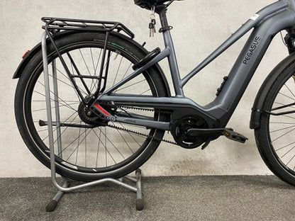 Pegasus Premio Evo NV Lit Belt (M)