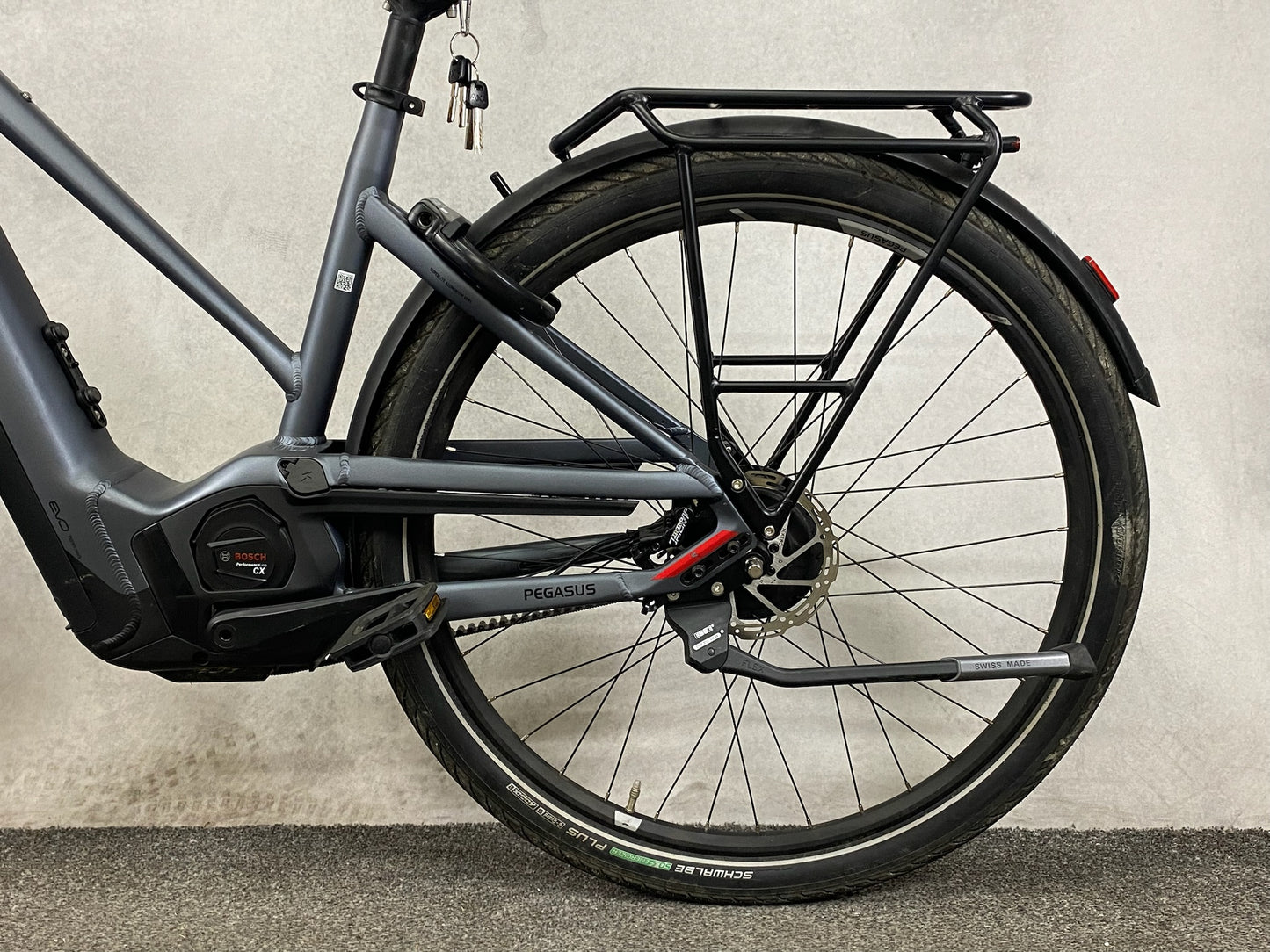 Pegasus Premio Evo NV Lit Belt (M)