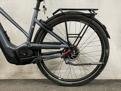 Pegasus Premio Evo NV Lit Belt (M)