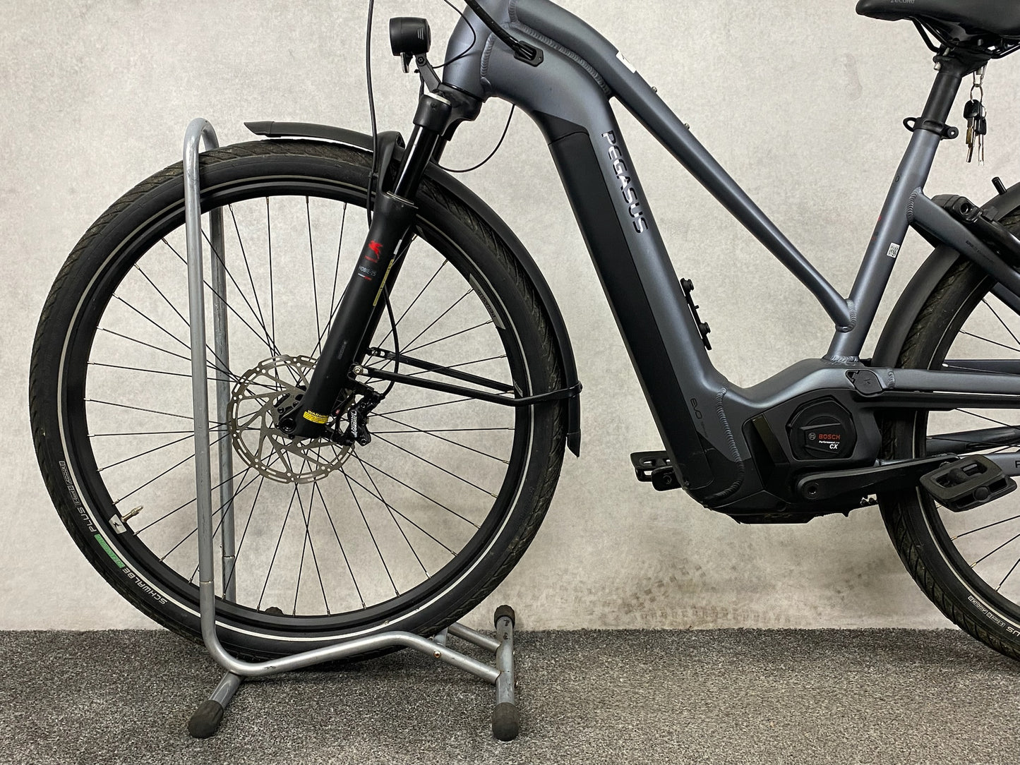 Pegasus Premio Evo NV Lit Belt (M)