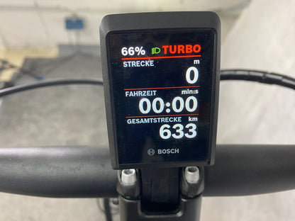 Pegasus Premio Evo NV Lit Belt (M)