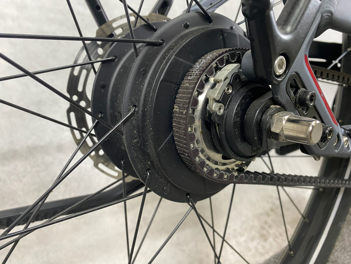 Pegasus Premio Evo NV Lit Belt (M)