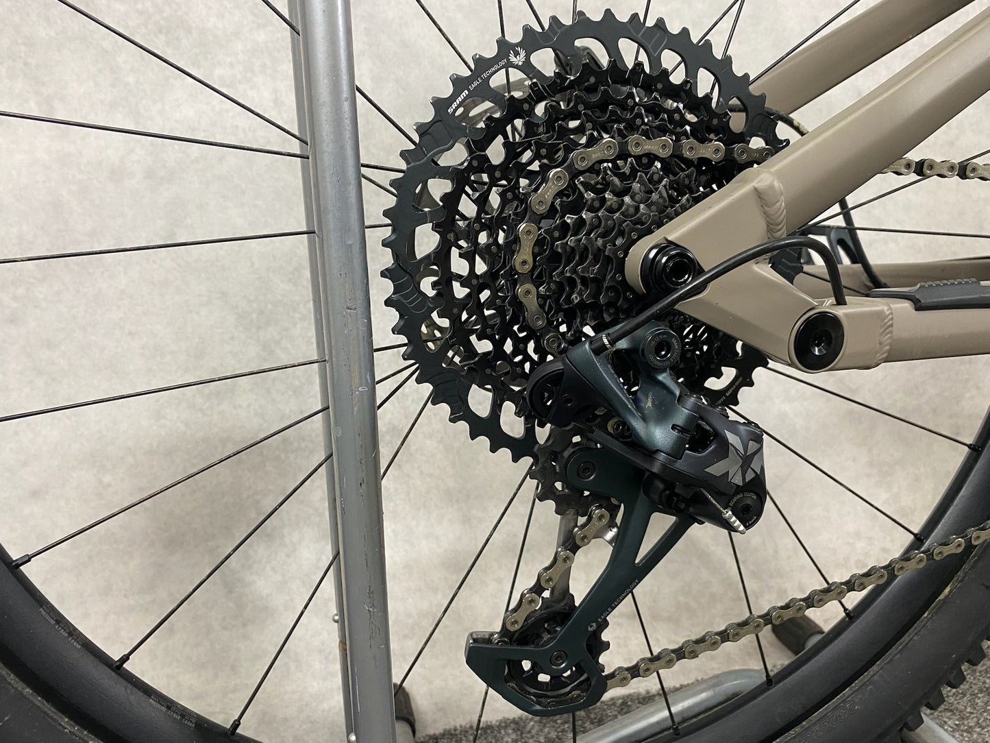 Rose GROUND CONTROL 4