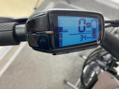 R Raymon CityRay E 2.0 CB 400 2022