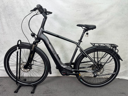 Pegasus Strong EVO 10