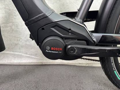 Pegasus Strong EVO 10