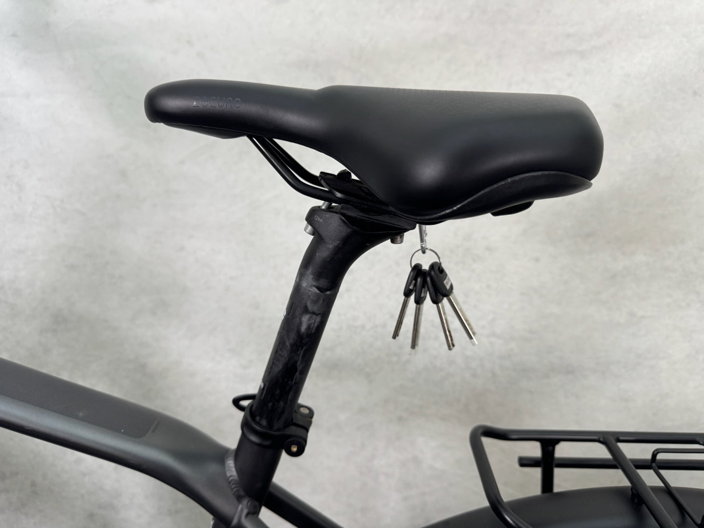 Pegasus Strong EVO 10