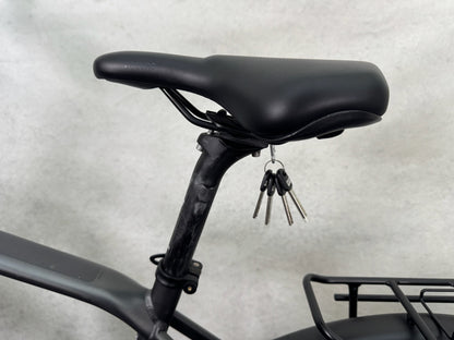 Pegasus Strong EVO 10