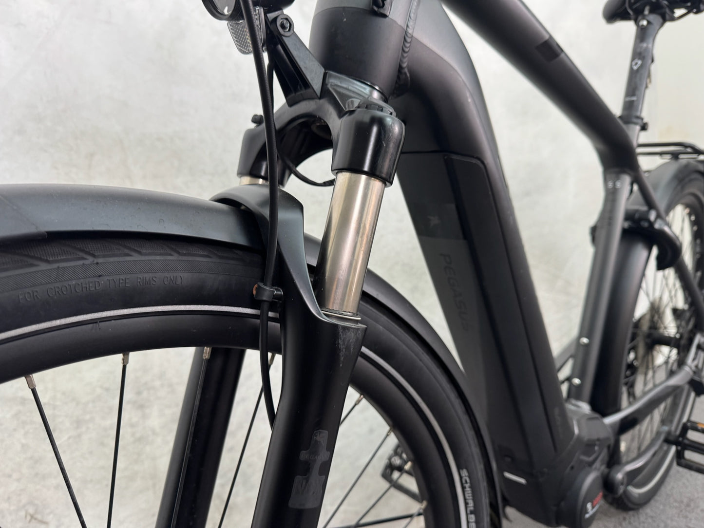 Pegasus Strong EVO 10