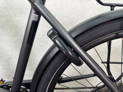 Pegasus Strong EVO 10