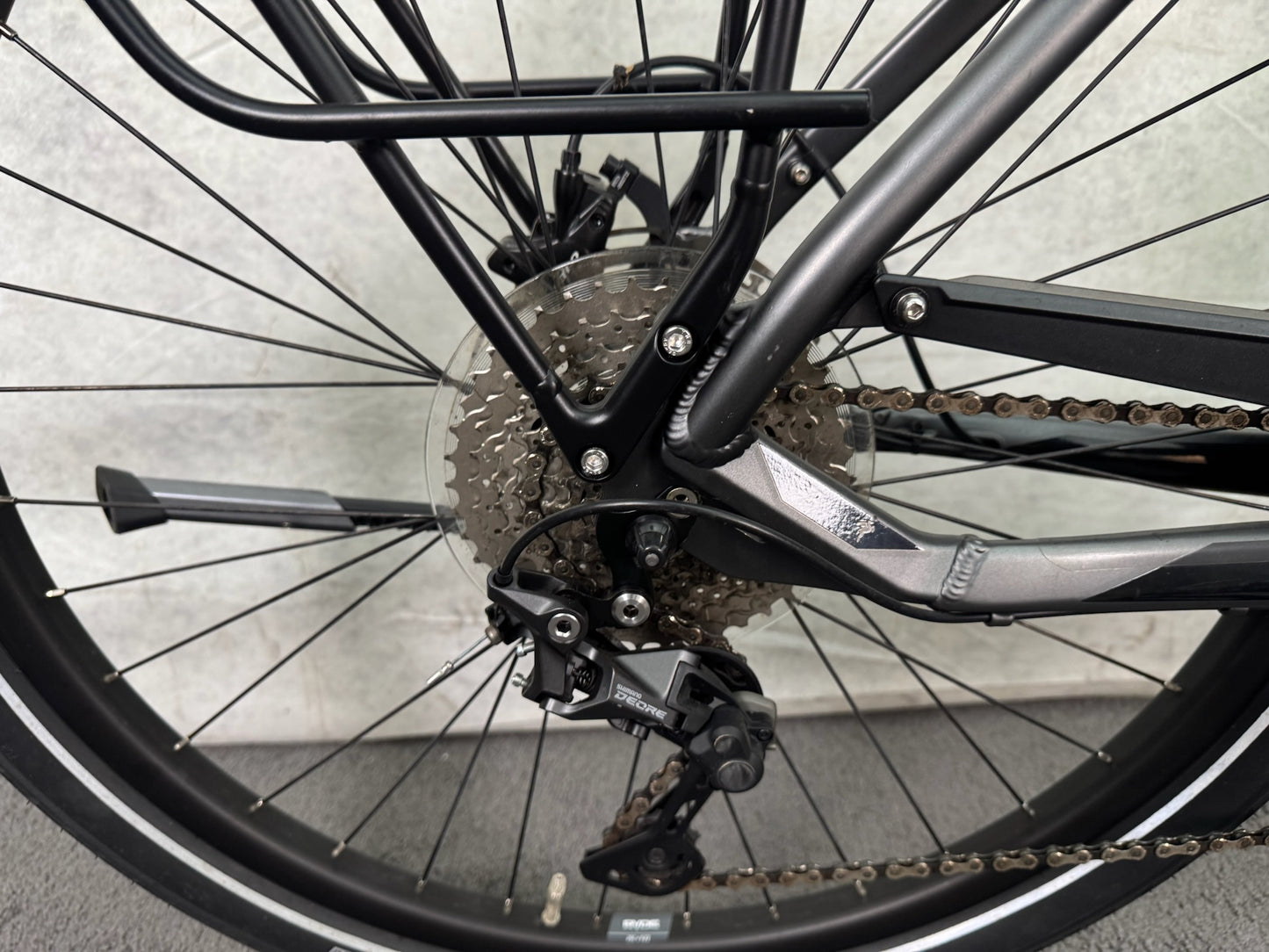 Pegasus Strong EVO 10