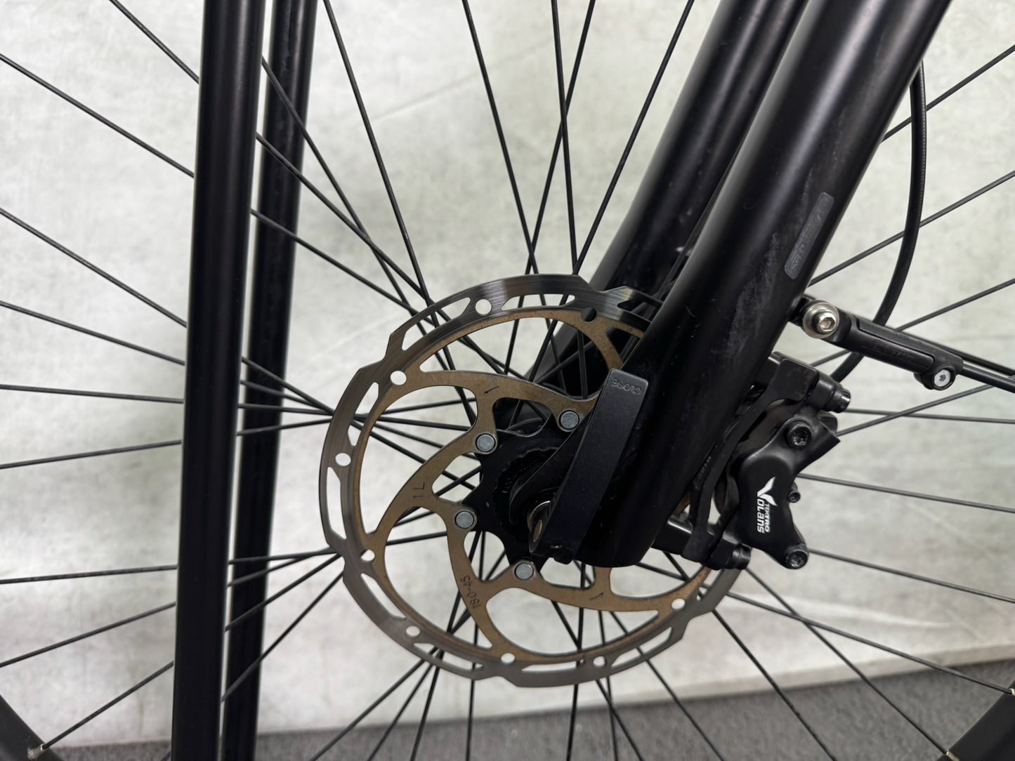 Pegasus Strong EVO 10