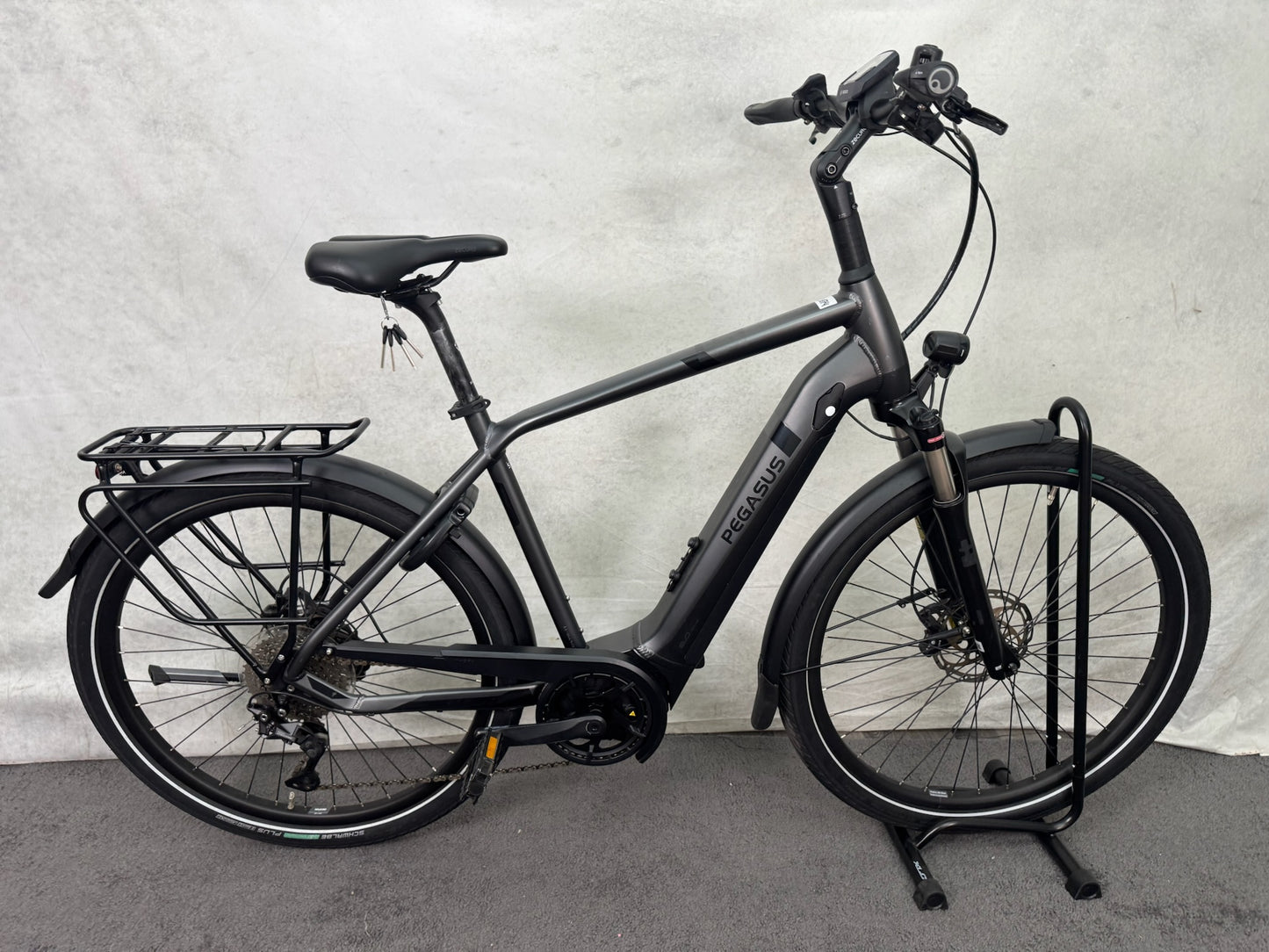 Pegasus Strong EVO 10