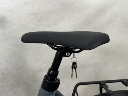 Riese und Müller Culture Mixte silent