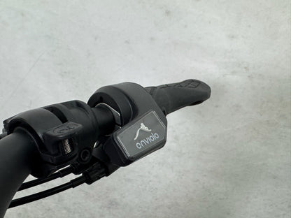 Riese und Müller Culture Mixte silent