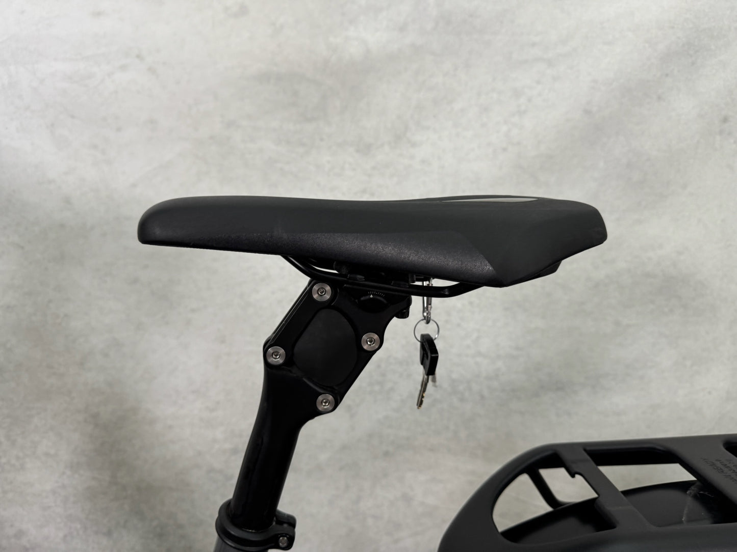 Cannondale Tesoro Neo X 1