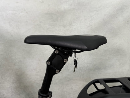 Cannondale Tesoro Neo X 1