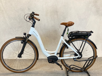 Riese und Müller Swing Automatic