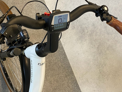 Riese und Müller Swing Automatic