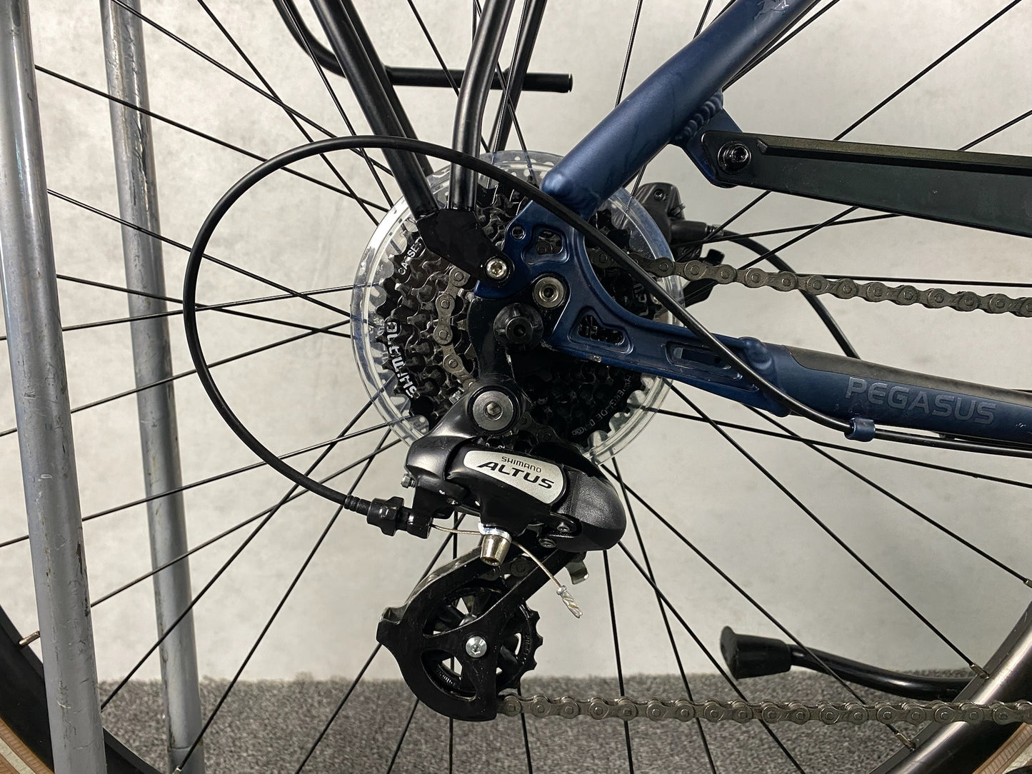 Pegasus Savona SL Disc Wave