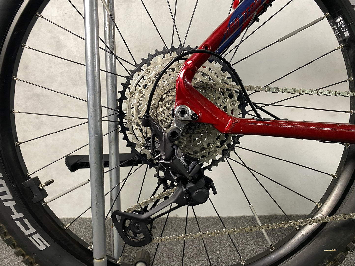 Corratec E-Powr X-Vert Pro Team