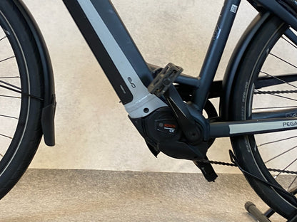 Pegasus Premio Evo 10 Lite