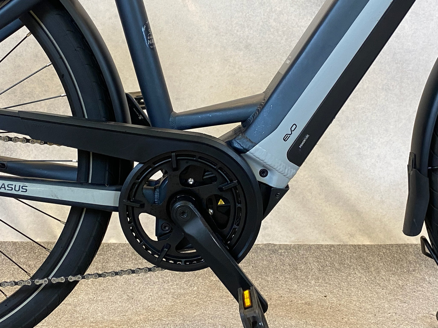 Pegasus Premio Evo 10 Lite