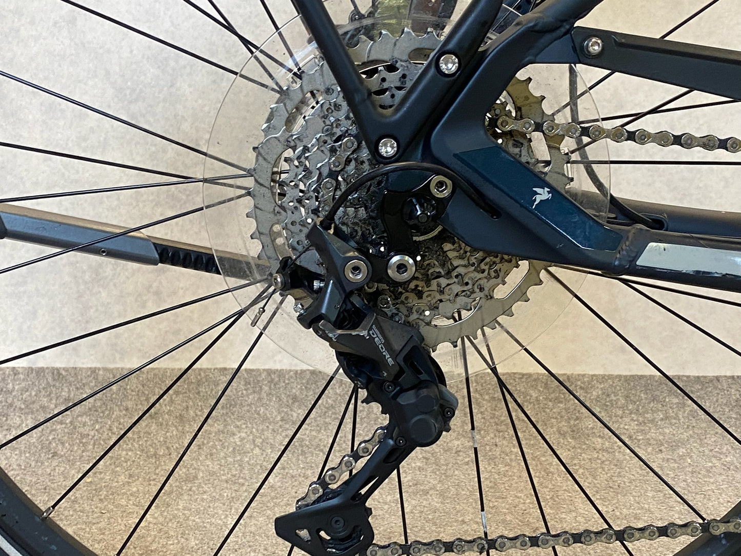 Pegasus Premio Evo 10 Lite