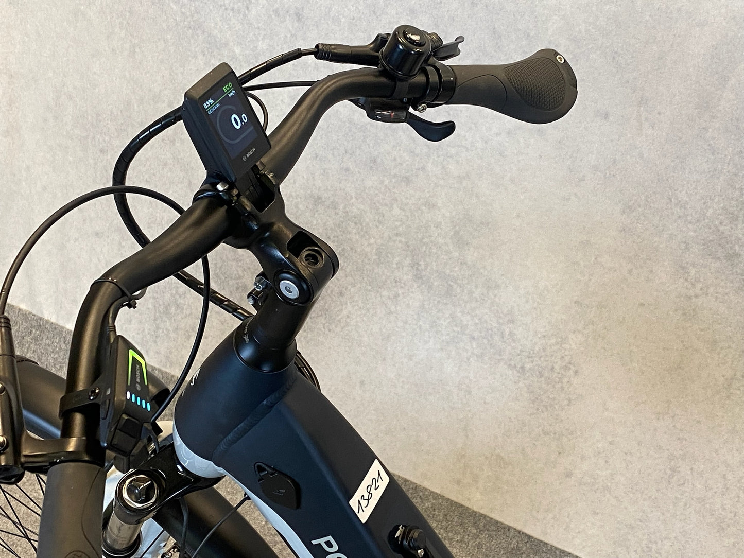 Pegasus Premio Evo 10 Lite