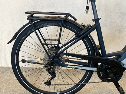 Pegasus Premio Evo 10 Lite