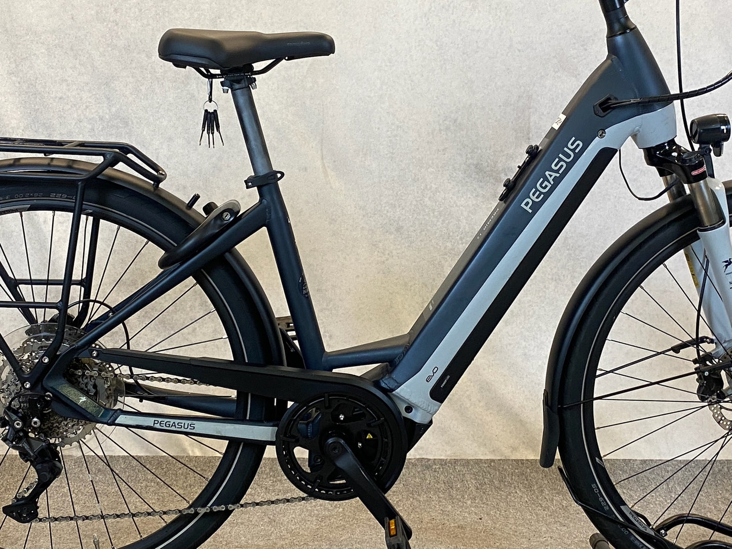 Pegasus Premio Evo 10 Lite