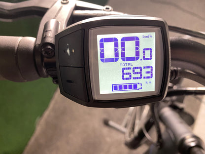 Pegasus Ancura E7F Wave 7G Active 400 Wh Freilauf 28' grey matt