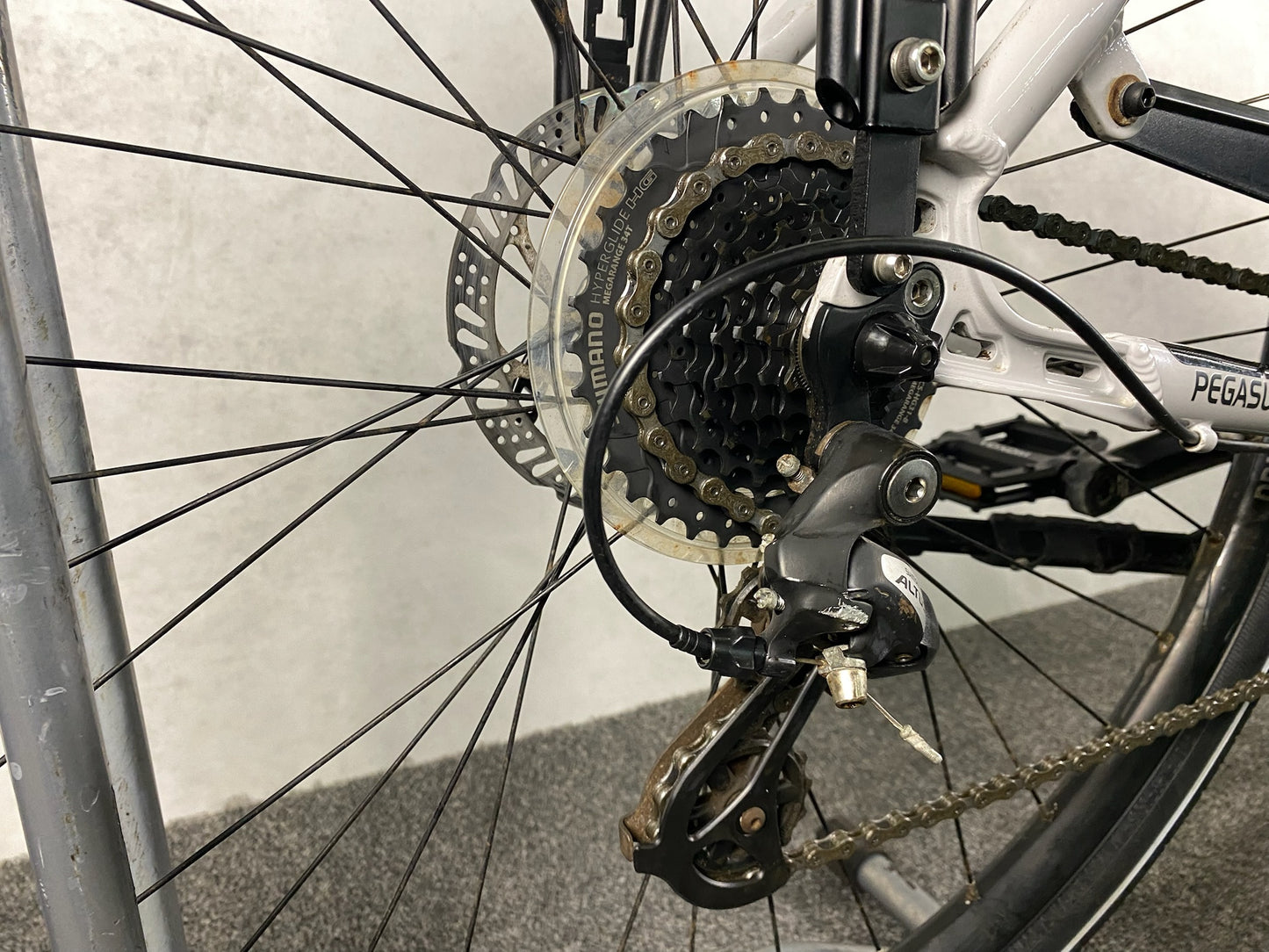 Pegasus	Solero SL Disc 24