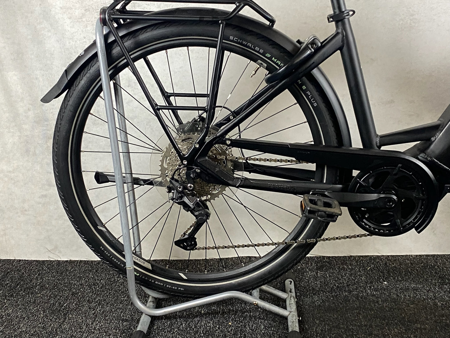 Pegasus Premio EVO 10 Lite 750