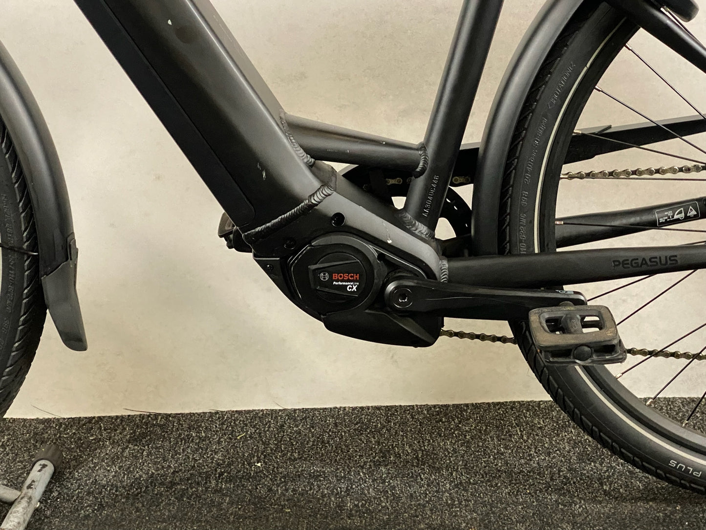 Pegasus Premio EVO 10 Lite 750