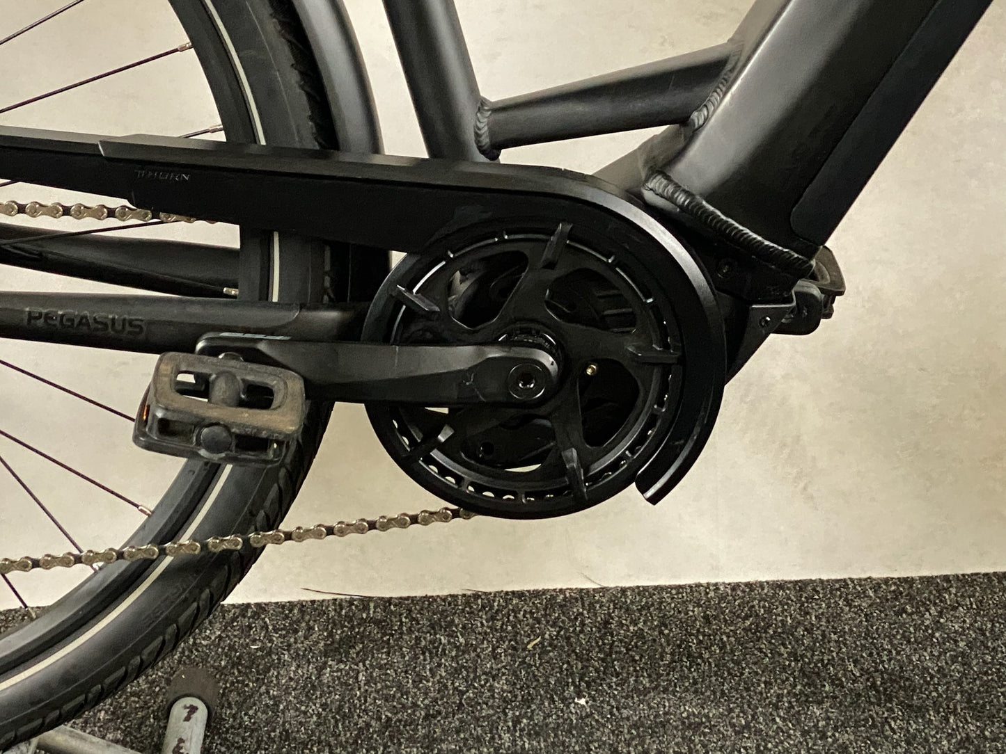 Pegasus Premio EVO 10 Lite 750