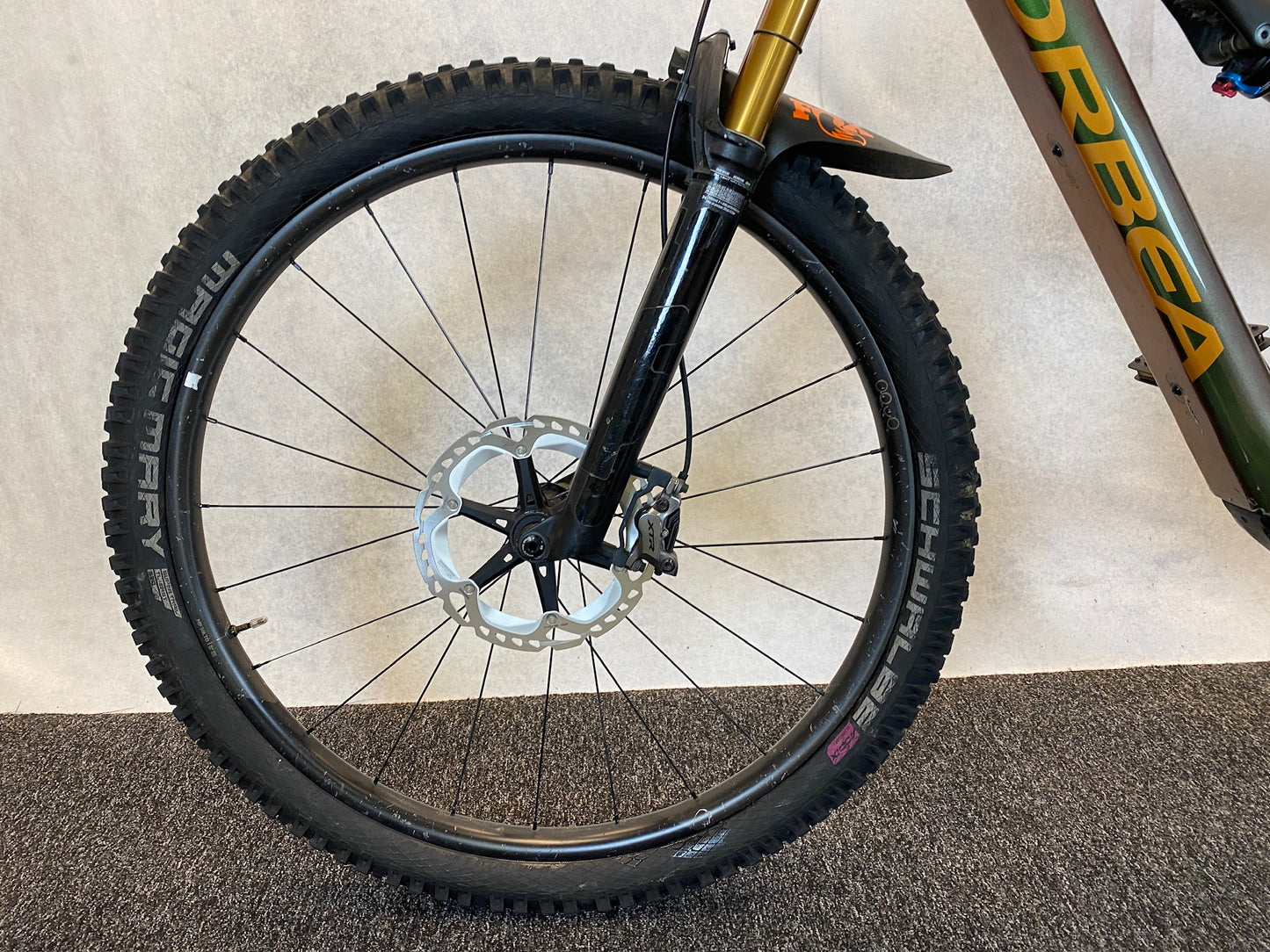 Orbea Rise M-LTD, M, Chamäleongrün/Schwarz